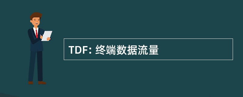 TDF: 终端数据流量