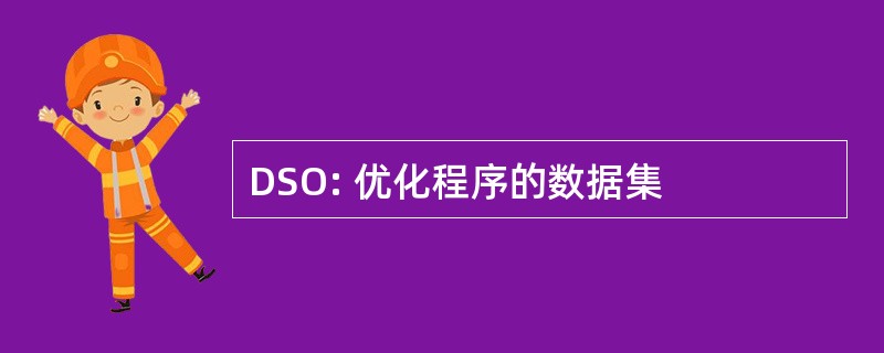 DSO: 优化程序的数据集