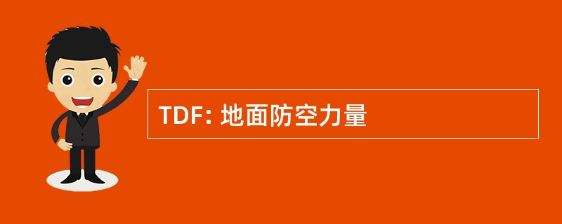 TDF: 地面防空力量