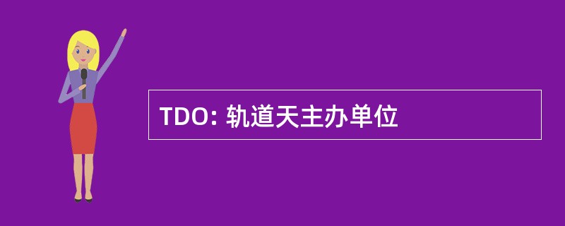 TDO: 轨道天主办单位