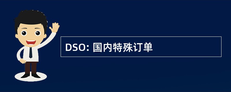 DSO: 国内特殊订单