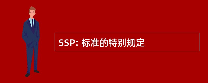 SSP: 标准的特别规定