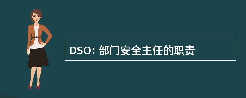 DSO: 部门安全主任的职责