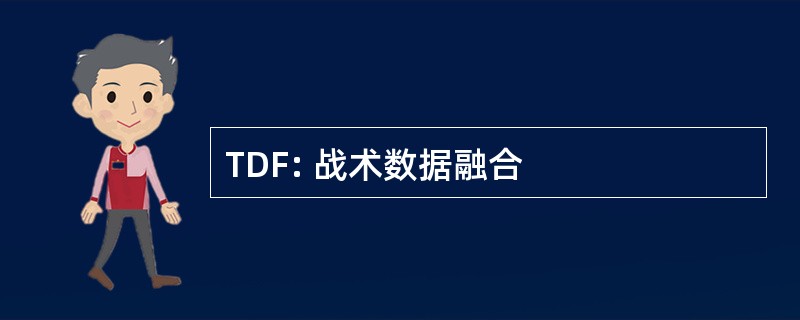 TDF: 战术数据融合