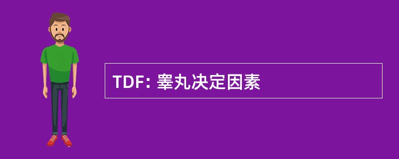 TDF: 睾丸决定因素