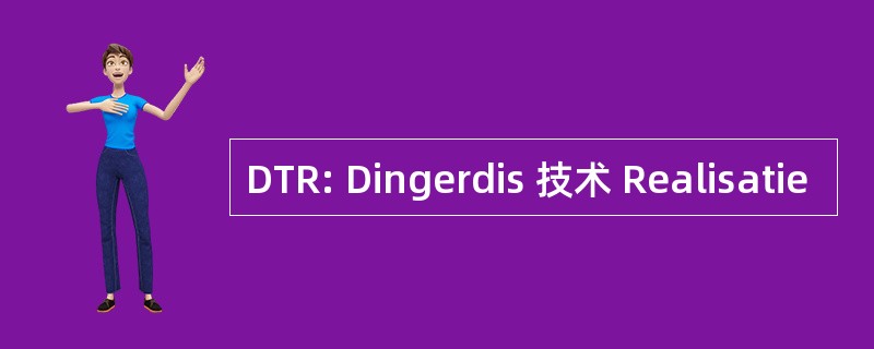 DTR: Dingerdis 技术 Realisatie