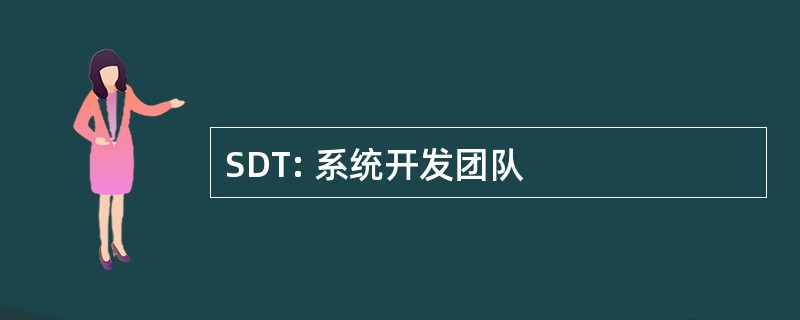 SDT: 系统开发团队