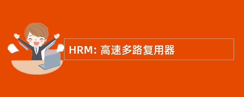 HRM: 高速多路复用器