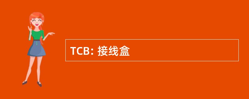 TCB: 接线盒