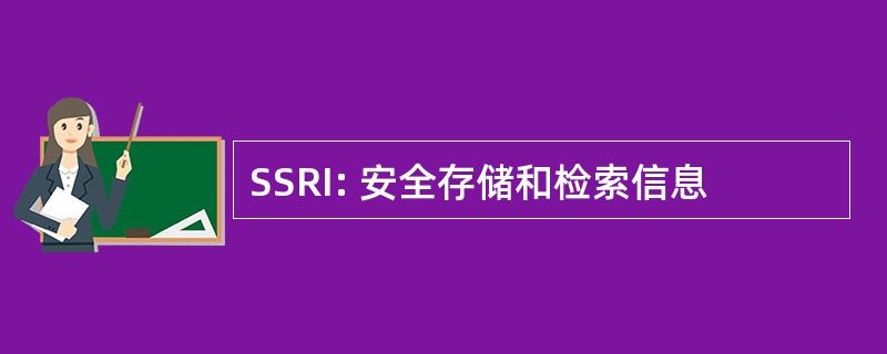 SSRI: 安全存储和检索信息