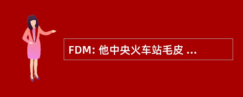 FDM: 他中央火车站毛皮 Datenanalyse 和 Modellbildung