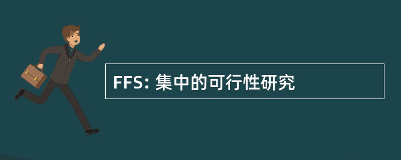 FFS: 集中的可行性研究