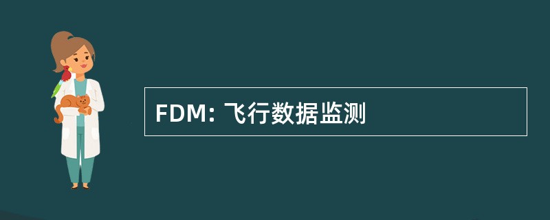 FDM: 飞行数据监测