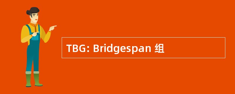 TBG: Bridgespan 组