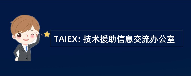 TAIEX: 技术援助信息交流办公室