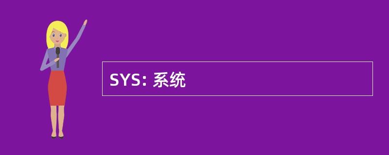 SYS: 系统