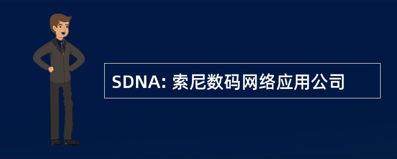 SDNA: 索尼数码网络应用公司