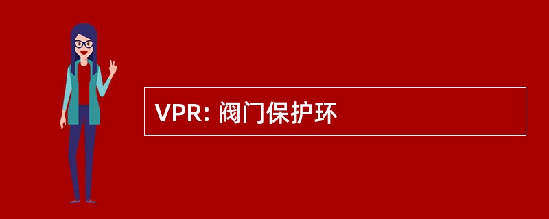 VPR: 阀门保护环