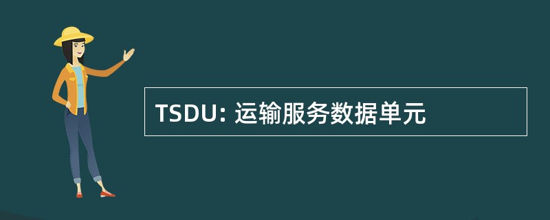 TSDU: 运输服务数据单元