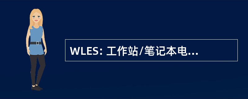 WLES: 工作站/笔记本电脑环境稳定