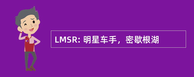 LMSR: 明星车手，密歇根湖