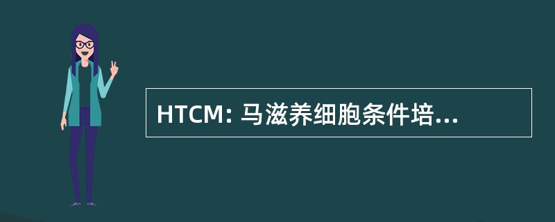 HTCM: 马滋养细胞条件培养液的中