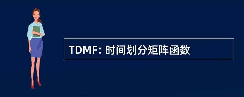 TDMF: 时间划分矩阵函数