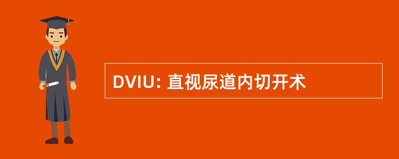 DVIU: 直视尿道内切开术