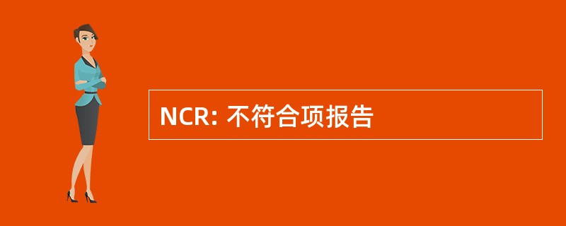 NCR: 不符合项报告