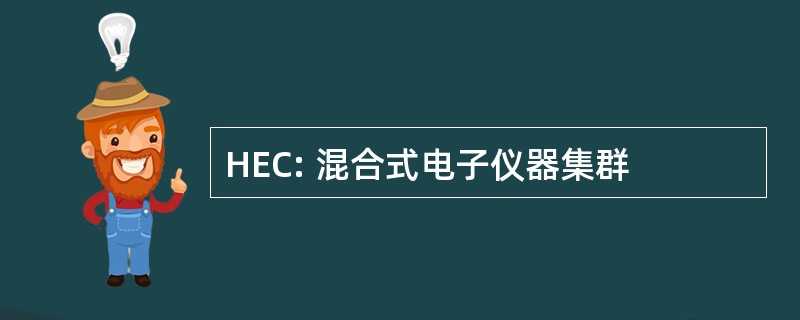 HEC: 混合式电子仪器集群