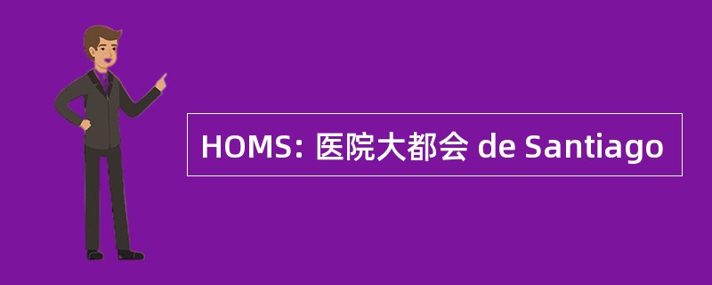 HOMS: 医院大都会 de Santiago