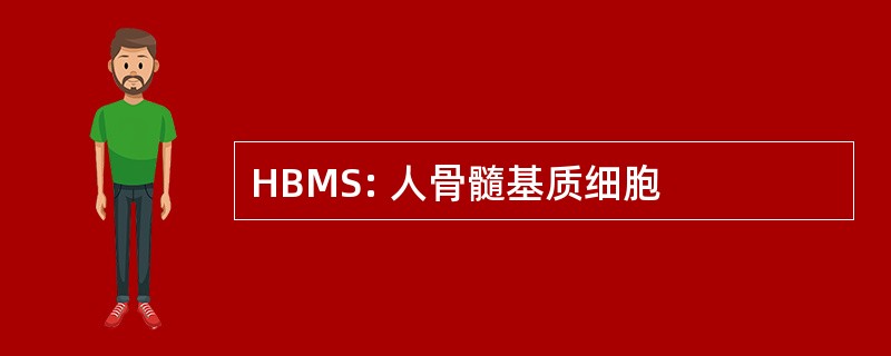 HBMS: 人骨髓基质细胞