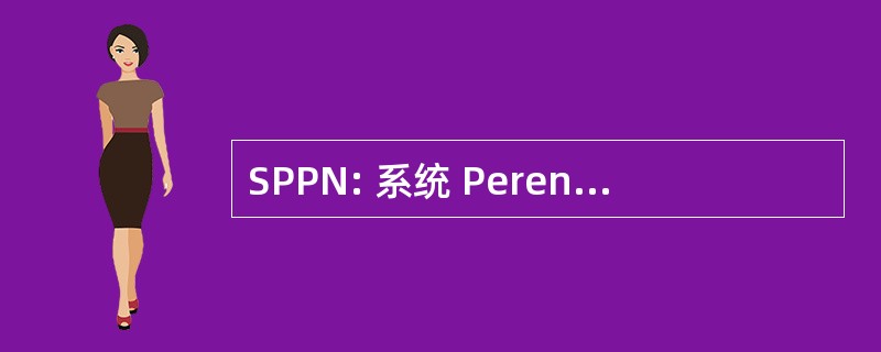 SPPN: 系统 Perencanaan Pembangunan 阵线