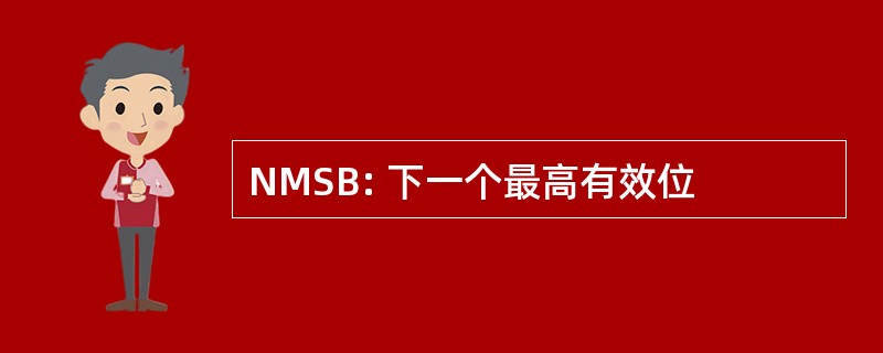 NMSB: 下一个最高有效位