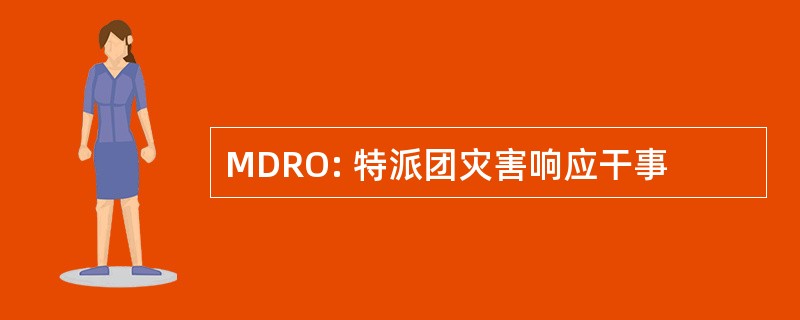 MDRO: 特派团灾害响应干事