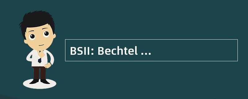 BSII: Bechtel 系统和基础设施，公司。