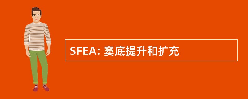 SFEA: 窦底提升和扩充