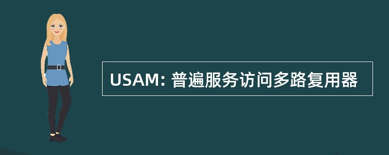 USAM: 普遍服务访问多路复用器