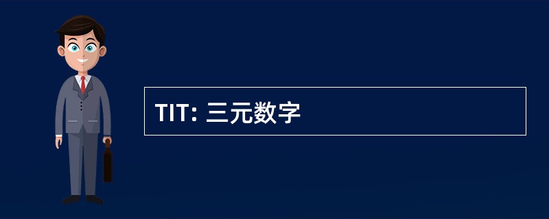 TIT: 三元数字