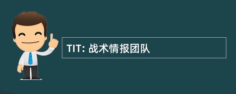 TIT: 战术情报团队