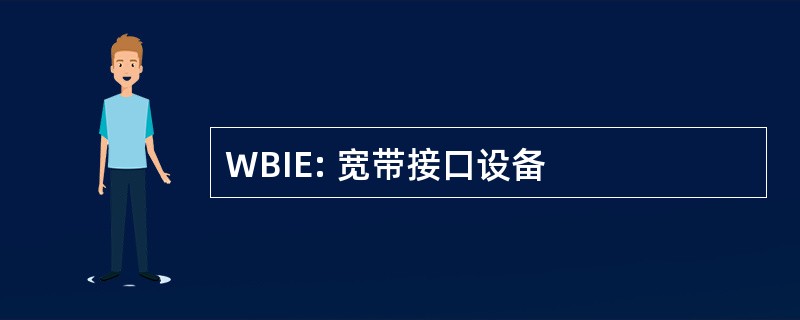 WBIE: 宽带接口设备