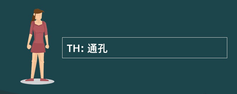 TH: 通孔