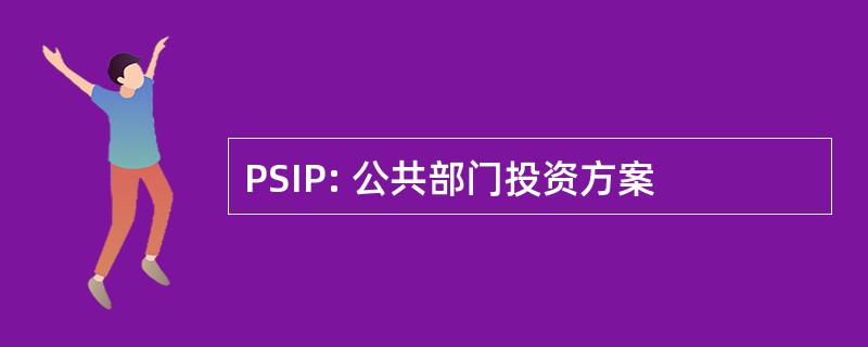 PSIP: 公共部门投资方案