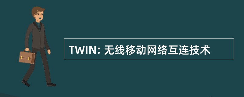 TWIN: 无线移动网络互连技术