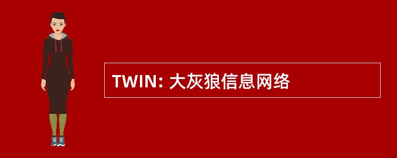 TWIN: 大灰狼信息网络