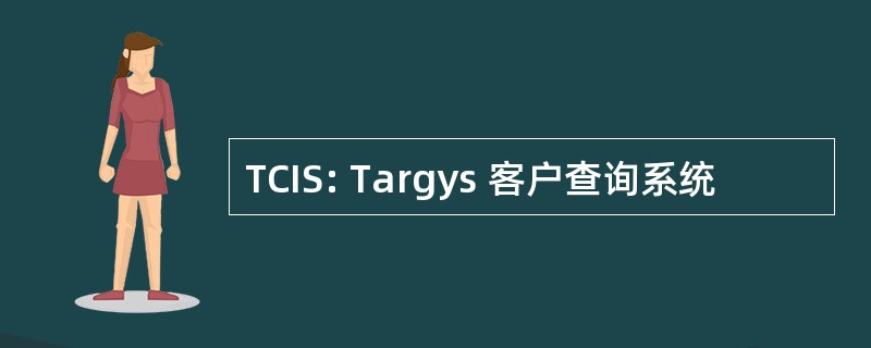 TCIS: Targys 客户查询系统