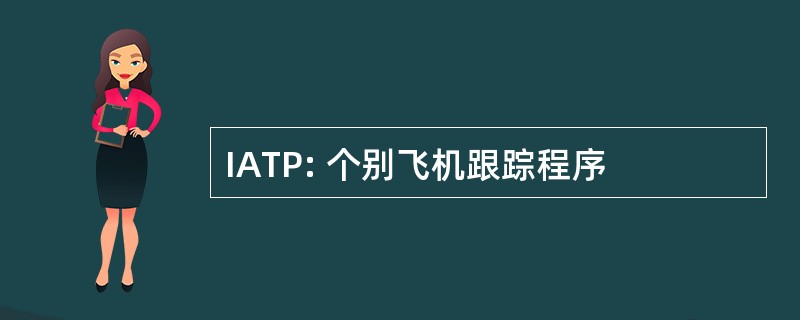 IATP: 个别飞机跟踪程序