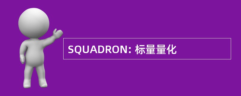 SQUADRON: 标量量化