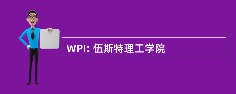 WPI: 伍斯特理工学院