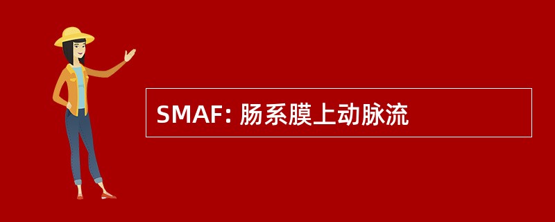 SMAF: 肠系膜上动脉流